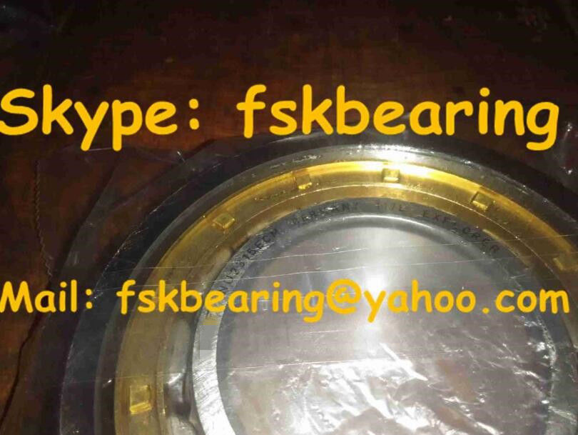 Chrome Steel / Stainless Steel Cylindrical Roller Bearing for Foaming Machine
