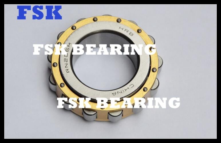 No Outer Ring RN206M Eccentric Cylindrical Bearings Catalog for Reducer Brass Cage